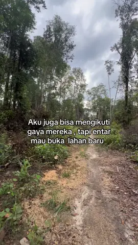 #sawitbangka #sawitstory🌴🌴🌴 #sawitbalap #sawitsumatra #sawitkatakata 