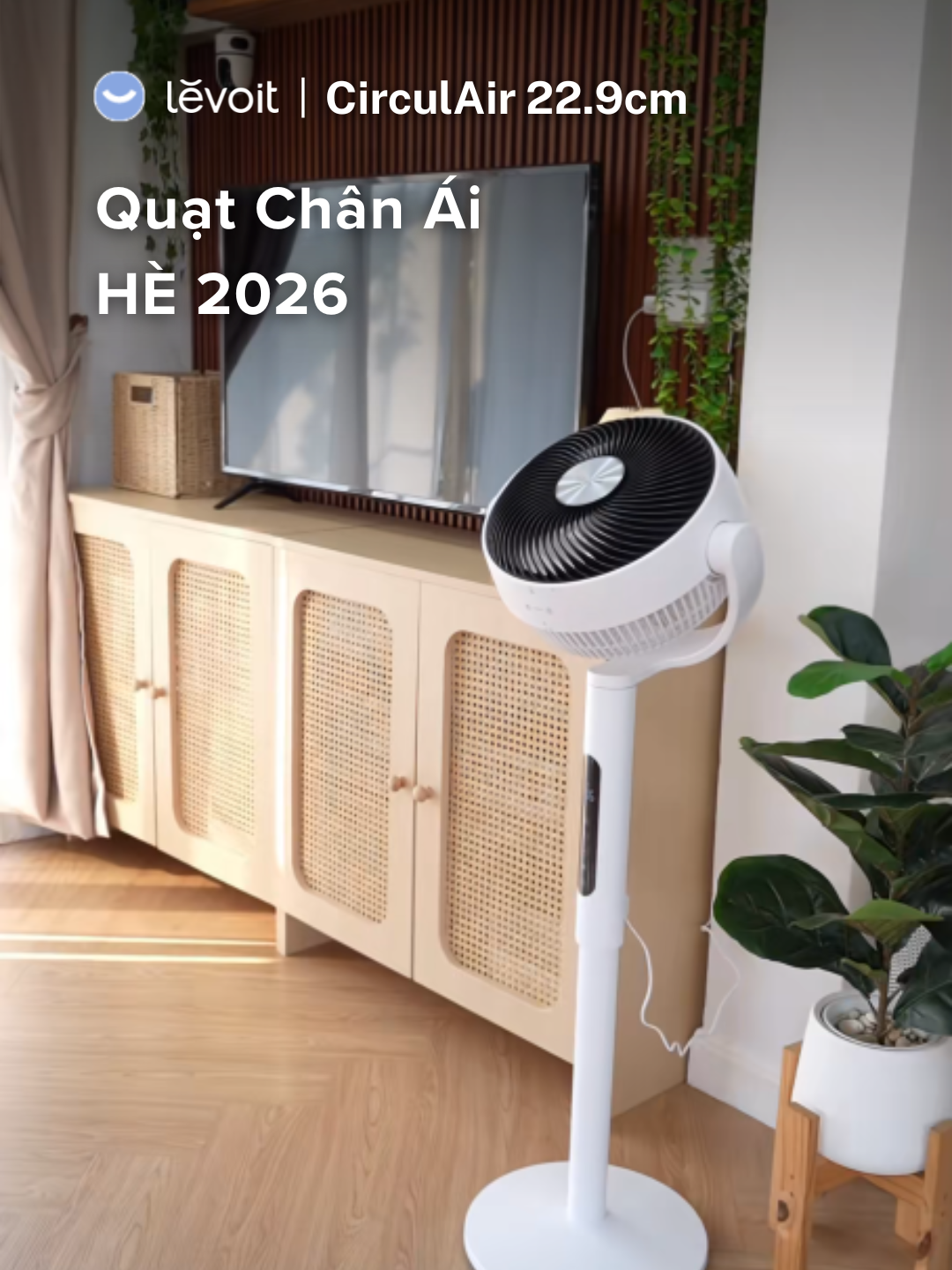 🌞 Mùa hè 2026, bạn chỉ cần một chiếc quạt duy nhất - Levoit CirculAir 22.9cm để làm mát toàn diện. ⁉️ Vì sao ư? Cùng giải mã loạt tính năng hiện đại vượt tầm giá của chiếc quạt tuần hoàn không khí Levoit CirculAir 22.9cm đến từ thương hiệu Mỹ này nhé! #levoit #levoitvietnam #quattuanhoankhongkhi #levoitcirculair22.9cm #levoitcirculair #circulair #trending #viral #quat #xuhuong