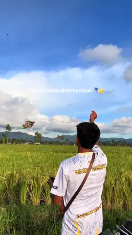 Comeback 2026 kingg #layangan #sambitanlayangan #gelasan 