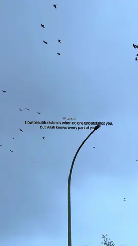 #islam #viral #goviral 
