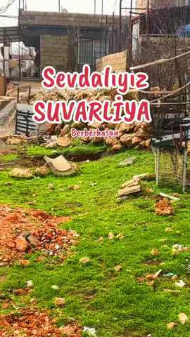 #altunkuaför #altunlartaşkırma #suvarli #adiyaman #besni02 