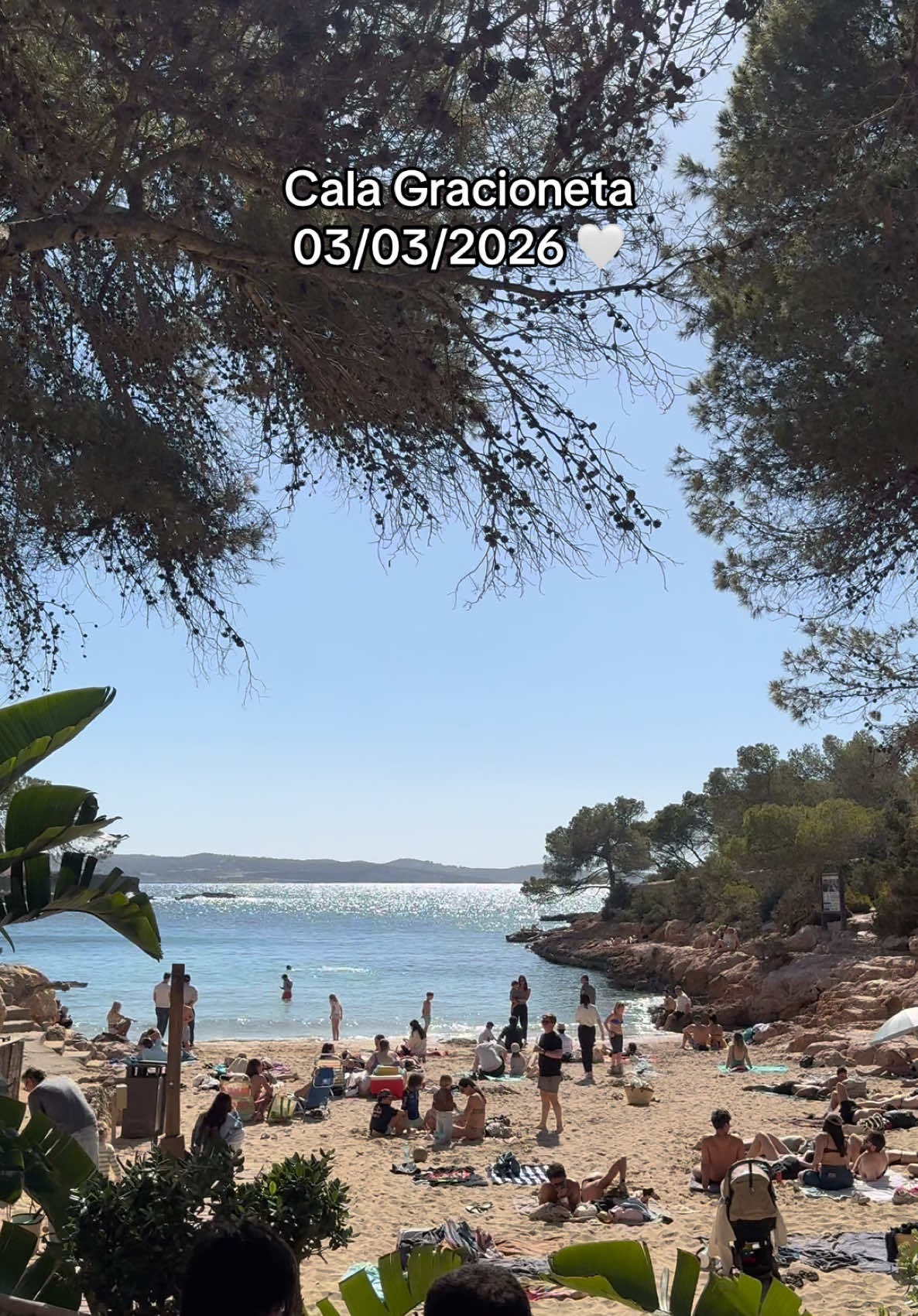 Ibiza is defrosting for summer 🤍 unreal vibes @ Cala gracioneta today🌴 #ibiza #calagracioneta #beach #restaurant 