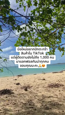มาแลกฟอลกันน่า🙏🥰 #ผู้ติดตาม #ปักตะกร้า #นายหน้าtiktokshop 