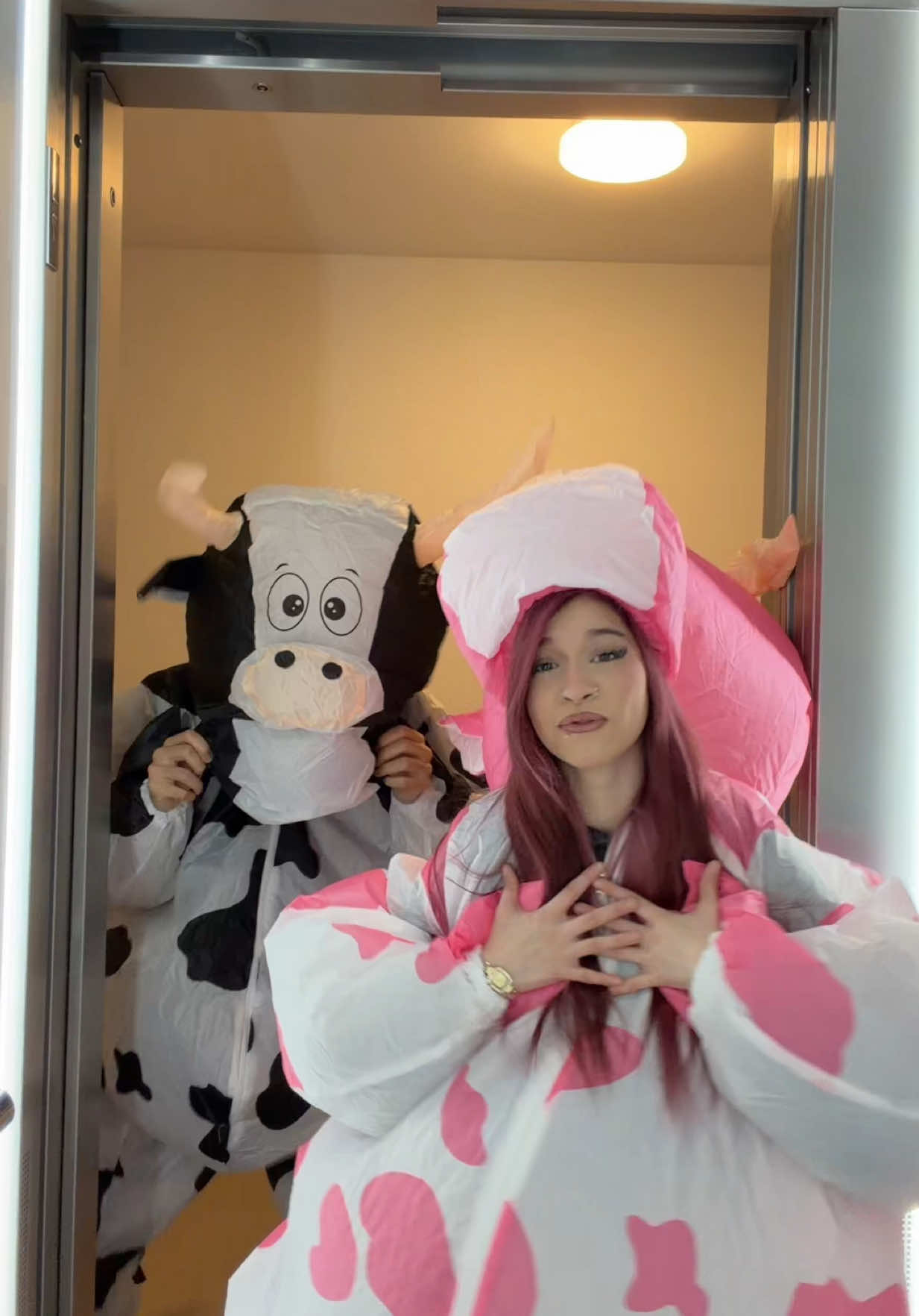 die kuhlen sind da @Melissa_imso #fypシ #tiktok #viral 
