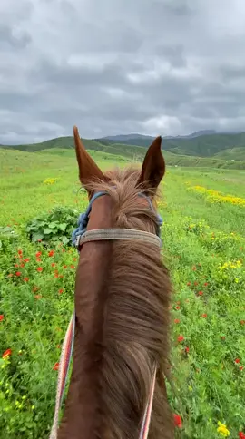 Horse riding #tajikistan #dushanbe #курган #душанбе #весна 