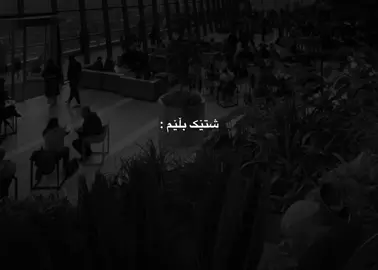 b4xua zorr🌚♥️#fyp #d4shtii1 #dashty_black #just_edit #foryoupage 