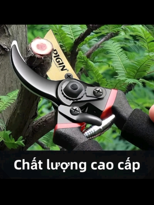 Kéo Cắt Cành Cây Cảnh Nhật SK #antoanphat91  #keocat  #keocatcanh  #xuhuong 