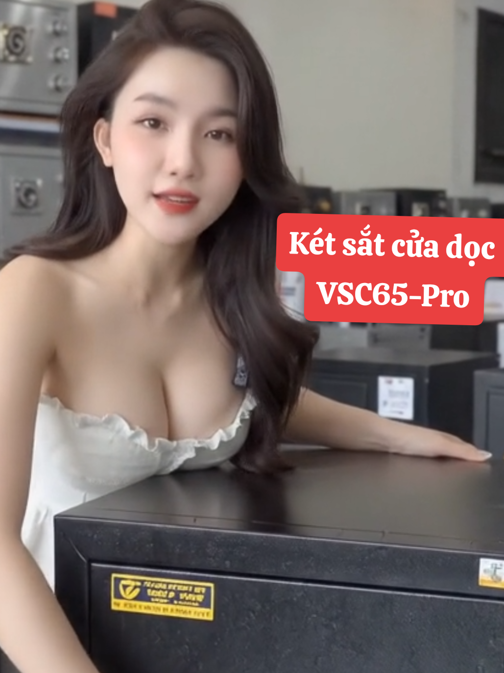 Sản phẩm cao cấp VSC65-PRO giúp anh chị coa 1 nơi chứa đồ vừa đẹp vừa, hiện đại, an toàn #ketsatviettiepchinhhang #ketsatgiadinh #kettietkiem #viraltiktok #xuhuong 