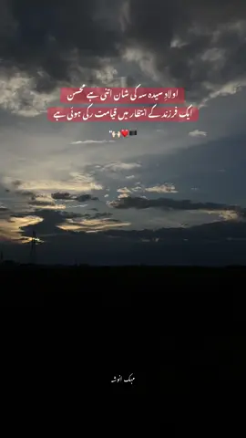 Labaik Ya Mehdi(as)🙌🏻🏴#imammahdi #bibifatimazahraص #ahlebait #hussaini #trending 