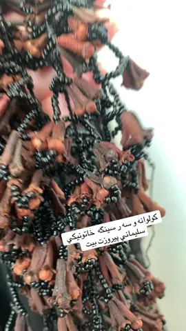 #سلاو #کوردستان_سلێمانی_کەرکوک_هەولیر_دھۆك #کوردستان_سلێمانی_کەرکوک_هەولیر #کوردستان_سلێمانی_کەرکوک_هەولیر_ڕانیە #everyone 