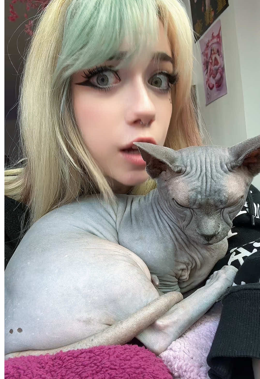 KITTY 