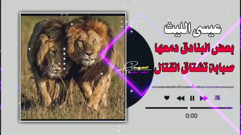 #زوامــــــل_من_العيارات_الثقيله #عيسى_الليث🔥🇾🇪 #تصميم_فيديوهات🎶🎤🎬 #شيلات_روعه_خواطر_ذوق #جخو،الشغل،دا،يا،عالم،➕_❤_📝 