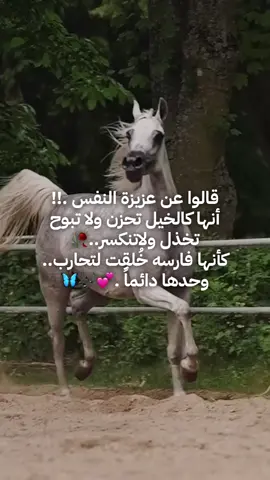 النفس لا شامت مثل عاصي الخيل يصعب على الخيال .. قضبة رسنها..#❤️❤️ #اكسبلورexplore 