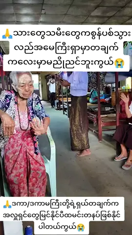 #🙏🙏ဒကာကြီးတို့ရဲရှယ်တချက်ကထမင်းတနပ်ပါကွယ်😭😭😭 #creatorsearchinsights 