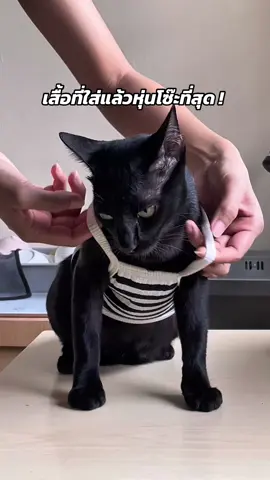 ปลุกความเป็นหญิงในตัวคุณ 😆🐈‍⬛🐾 #หนูลูกเกด 