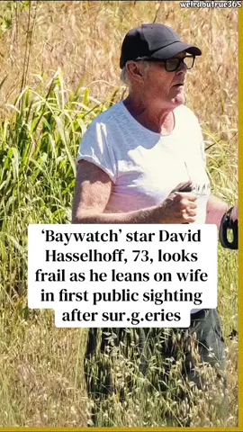 #davidhasselhoff 