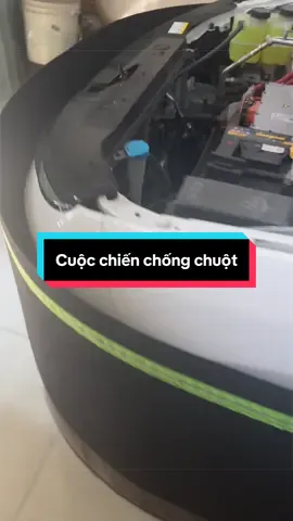 Cuộc chiến ko hồi kết với các ông tý #quaychongchuototo #chongchuot #phukienoto 