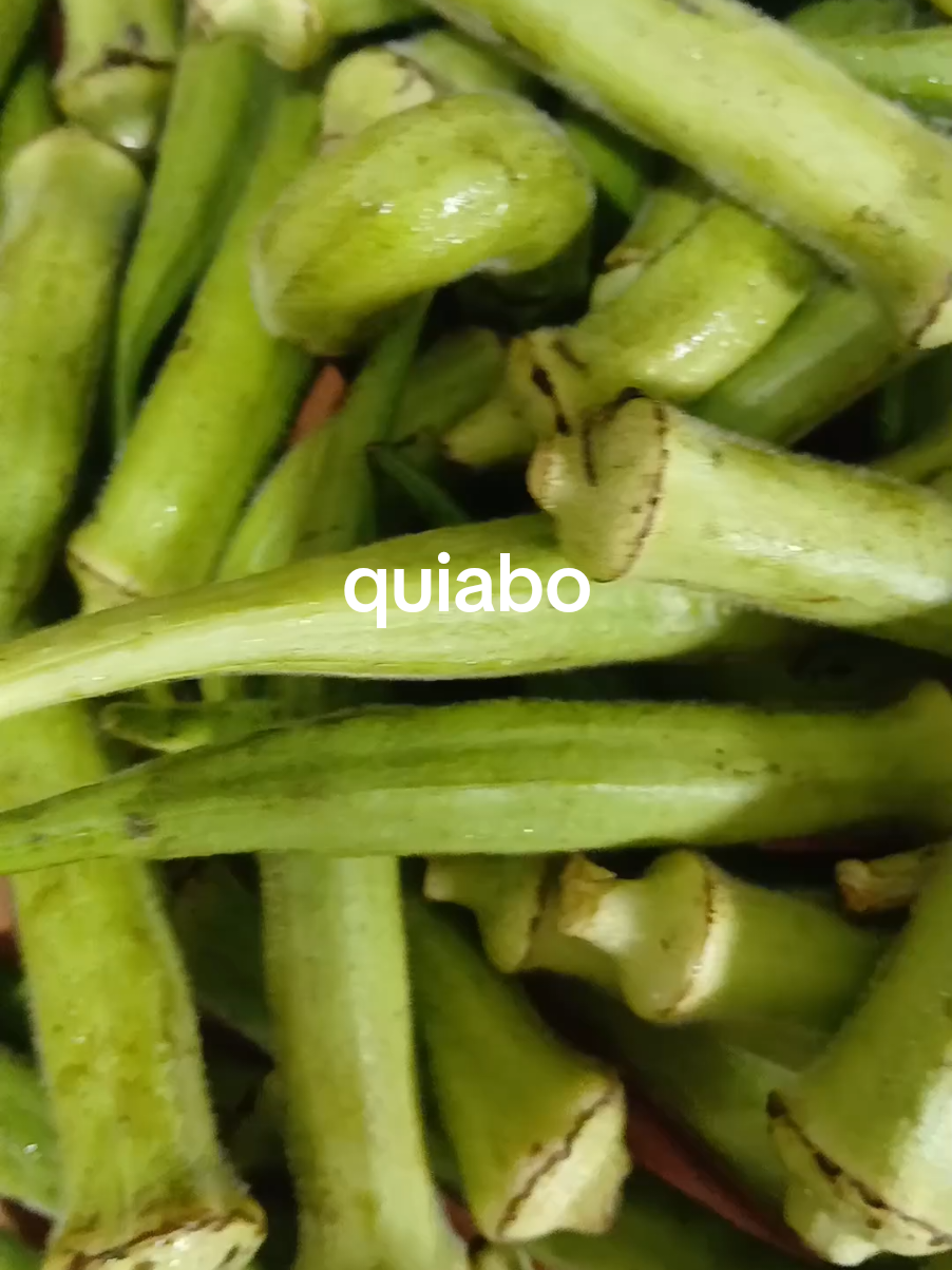 quiabo 