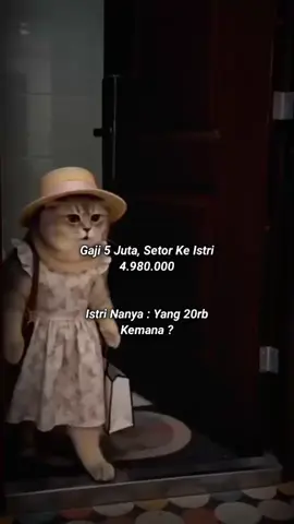 Pikiran Wanita Mah Selingkuh Mulu, Emang 20rb Bisa Modal Selingkuh 🤭🤣🤦‍♂️ #darmansaid #foryoupage #duniakubercerita 