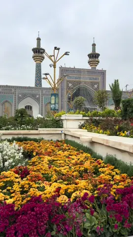 #الرؤف_السلطان_علي_بن_موسى #الامام_الرضا_عليه_السلام #ضامن_آهو #امام_رضا 