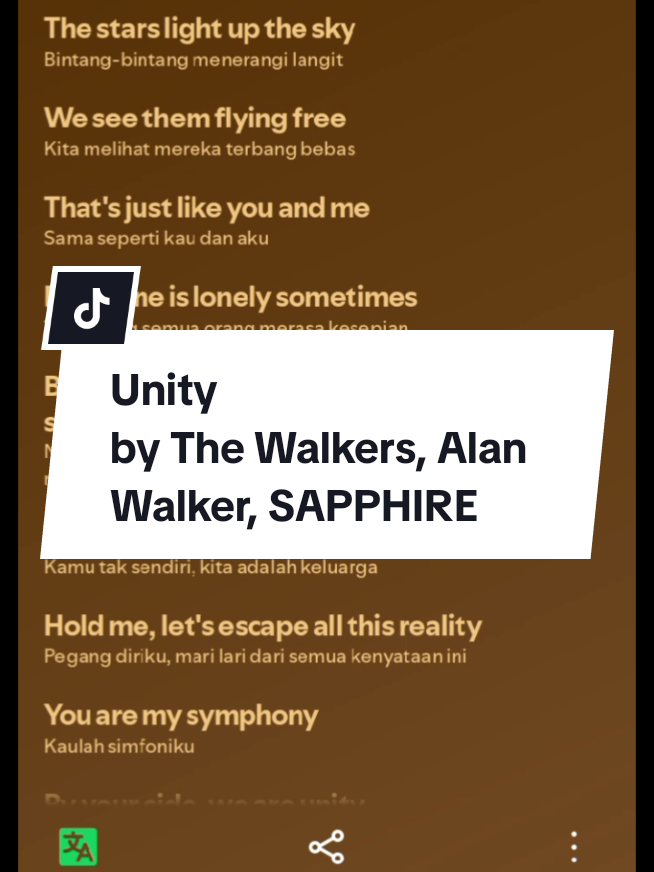 Unity - The Walkers, Alan Walker, SAPPHIRE 🎧🎶🎙️ #unity #alanwalker #songlyrics #fulllyrics #song_english_translation 