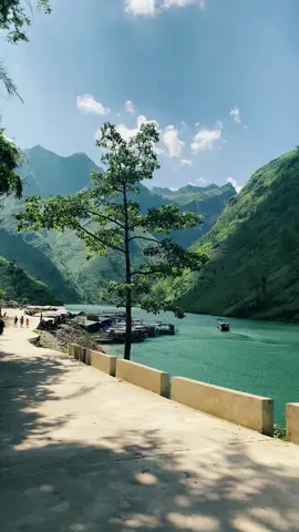 Check in: Sông Nho Quế - Hà Giang đẹp mê ly ❤️ #songnhoque #hagiang #hemtusan #hagiangvietnam #canhdepvietnam 