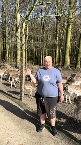 Bin am Süggelwald spazieren 🫶❤️