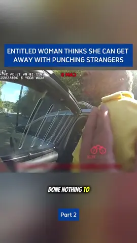#cops #bodycam #audit #fyp
