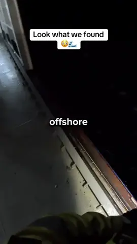 My first night shift working offshore 🌊 How to get onboard 👇 If you’re serious about heading over and looking to work in ANY sector of fifo where the base pay typically starts at 98k for unqualified roles and more . The website in our bio is a complete road map to fifo in the mines. Allot needs to be done if you want head over here and work in fifo for those on work holiday visas and nationals we cater to everyone looking to get in. Get help through the link in the bio which takes you to our fifo website. Remember we are not suggesting that any job offer is guaranteed 🇦🇺📙💰 Follow @fifocareer for more info  #offshore #oilandgaslife #fifojobs #atsea 