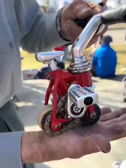 Sergey Dashevsky won the Guinness World Record for the smallest functional bicycle in the world with a creation that measured just 8.4 cm (3.31 inches).    Here's one of his performances.