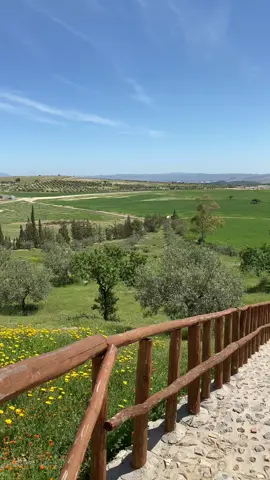 🌿 “نهار بسيط في الضيعة… ✨ La ferme de papi” Juste la paix, la nature et des moments vrais 🤍 Farm life hits different 💫 Un retour à l’essentiel 🌾 à La ferme de papi #Tunisie #Zaghouan #LaFermeDePapi #نهار_في_الضيعة #حياة_ريفية           