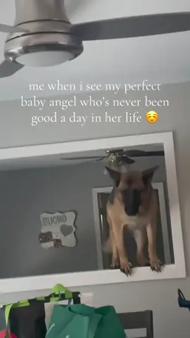she’s fine don’t worry 
