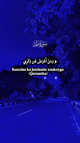 Surah Taha❤️‍🩹10K_follow_isoo_dheh mahadsanid_#Quran #quranrecitation #islamic_video #khalidi_moha 
