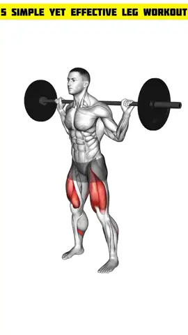 #creatorsearchinsights #legworkout #longlegs #fitnessmotivation #homeexercise 