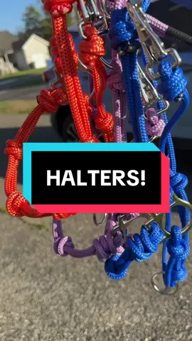 Some more halters made by me!! Had to get some content before sending them out 🤪 more colors available! Comment if you want one! #forsale #horse #horsegirl #equestrian #DIY 