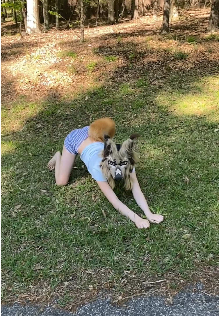 I LUVV THIS!! 🤭 #therian #therianthropy #africanwilddogtherian #theriancommunity #fyp 