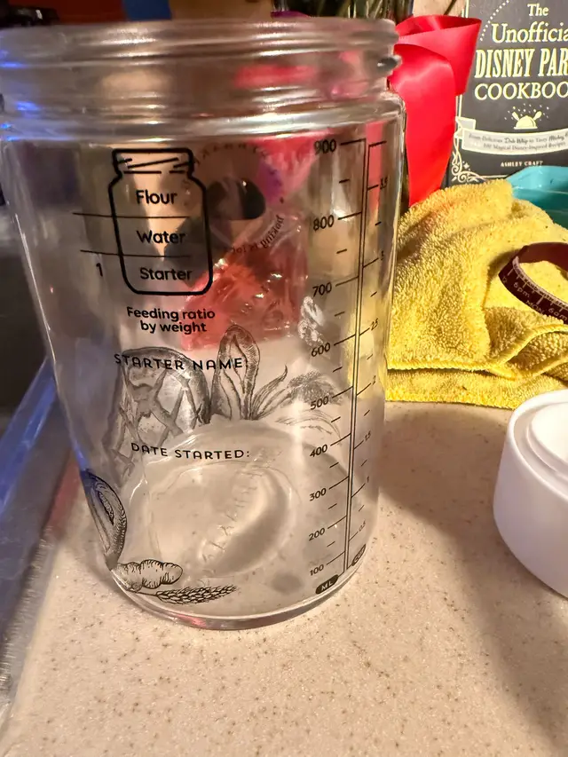 Just a girl on a two month sourdough starter journey who finally is getting good results!!  It’s so much more than just bread. It’s a hobby now. Anyone need some bread?  #sourdoughstarter #sourdoughbread #sourdoughtok #sourdoughforbeginners 