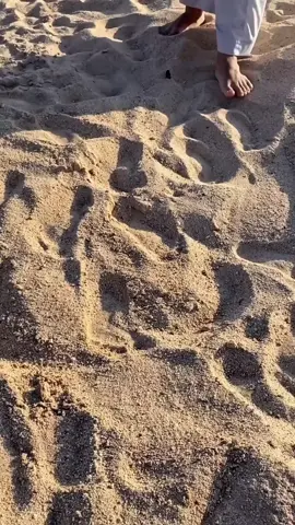 How Do Desert People Find Water 😱#tik_tok #Shorts #us #shorts #arab 