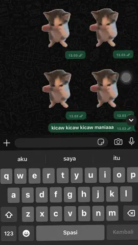 kicawww maniaaaa #kicaumania 