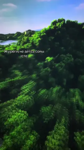 #солай крч #1 ші вд менікі🤣