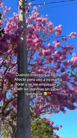 🫀🥹#parati #mama #viral_video #fpy #fypシ゚ 