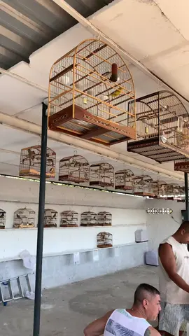 Bom dia mais um domingo.