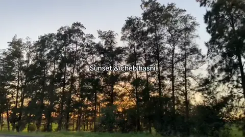 #chebhasni #sunset 