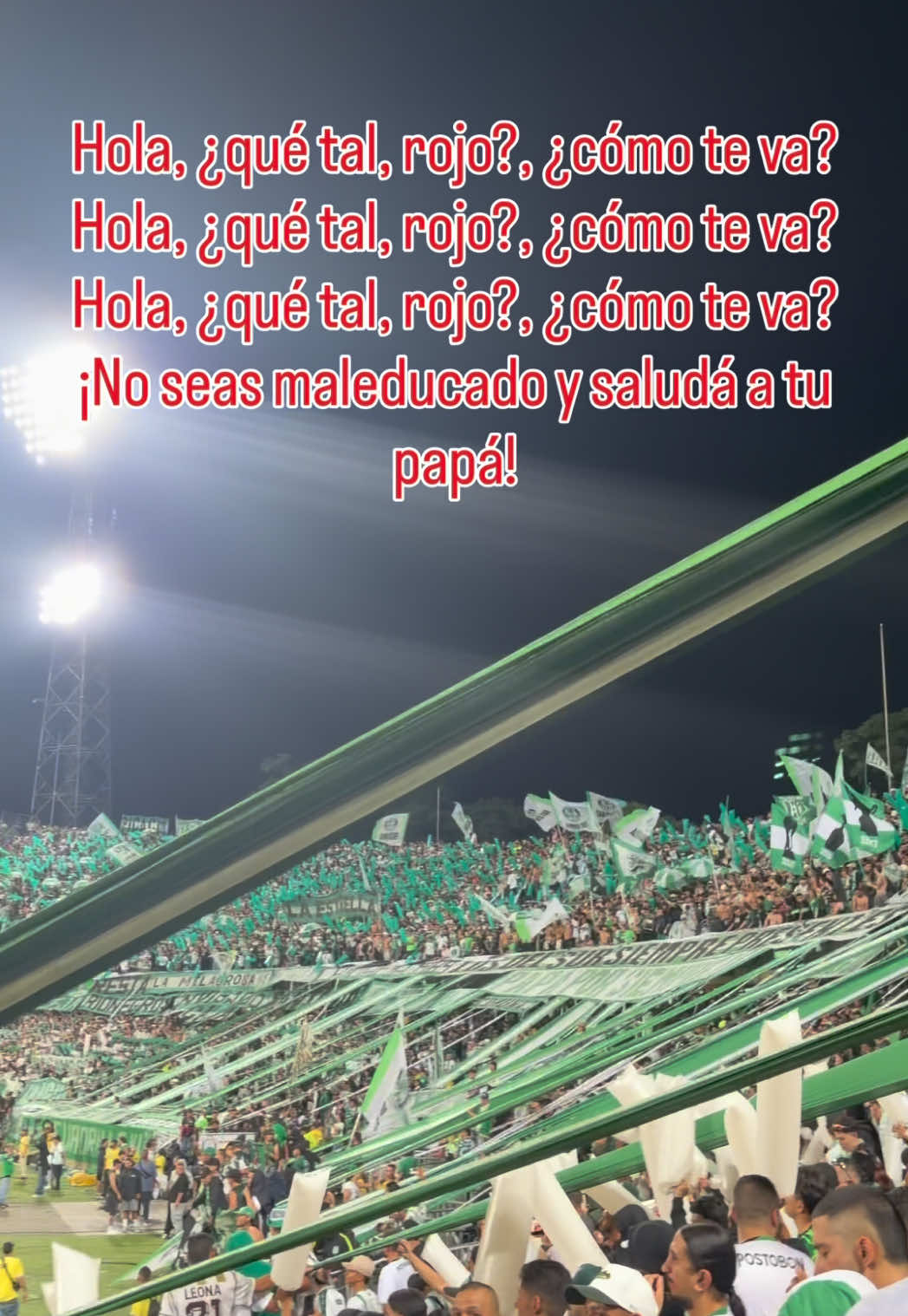 Hola, ¿qué tal, rojo?, ¿cómo te va? Hola, ¿qué tal, rojo?, ¿cómo te va? Hola, ¿qué tal, rojo?, ¿cómo te va? ¡No seas maleducado y saludá a tu papá!  #atleticonacional #medellinvsnacional #goles #independientemedellín #nacional
