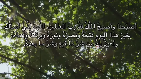 #اذكار_الصباح #دعاء #قران_كريم #اجر_لي_ولكم #اكسبلور 