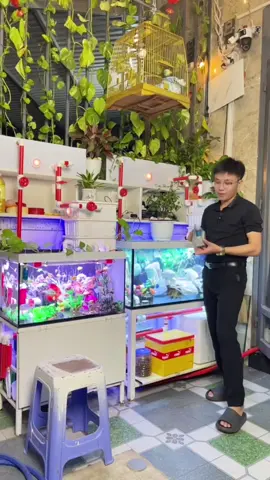 nam châm lau kính e có ghim trong phần sản phẩm và phần dỏ hàng nha a chị.  e cảm ơn a chị đã luôn tin tưởng và ủng hộ e ạ 🇻🇳♥️#xuhuongtiktok 