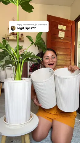 Replying to @𝑹𝒂𝒌𝒊𝒕𝒆𝒓𝒂 ;) #paso #pots #tallpots #whitepots #indoorpots 