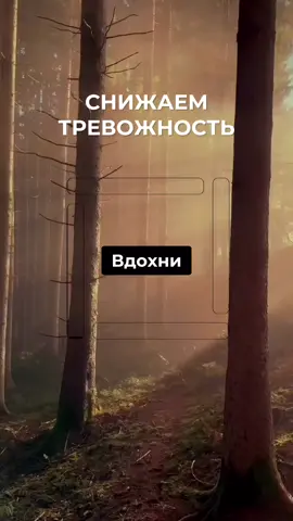 Дыхание, которое снижает тревогу за считанные минуты: простая техника, помогающая стабилизировать состояние и вернуть ясность мышления #тревожноерасстройство #паника #техникадыхания 
