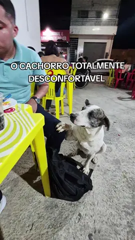 ele comendo melhor que eu todos os dias kkkkkkk #foryoupage #foryou #fyp 
