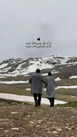 #CapCut #تصميم_فيديوهات🎶🎤🎬 حبيب الࢪوح🥹🫂❣️🫀@؟🍂🌛@ﻋﺒ⃟🦋ﯡډي🪶:ᎪᏴᏫᎠ 🌜🍂؟ 